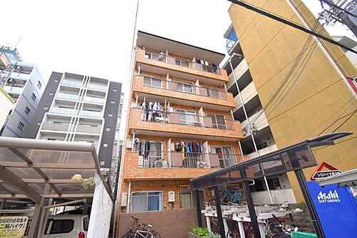 シロハイヌ新大阪