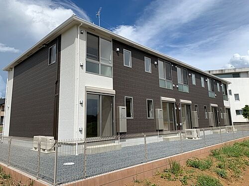 コモド　ピノ　５