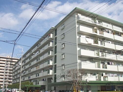 京都府京都市南区吉祥院西ノ庄向田町 築51年9ヶ月 7階建