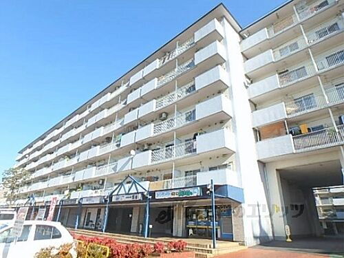 京都府京都市山科区東野門口町 賃貸マンション