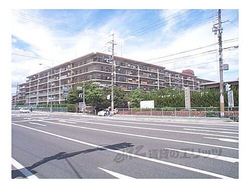 京都府京都市伏見区深草下川原町 7階建 築42年11ヶ月