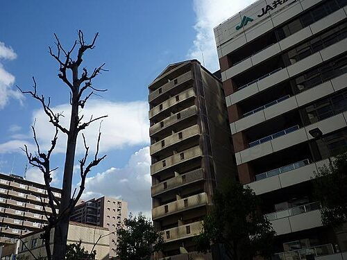大阪府大阪市西区江戸堀３丁目 11階建 築27年8ヶ月