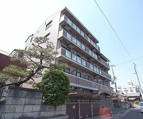 京都府京都市伏見区竹田内畑町 5階建