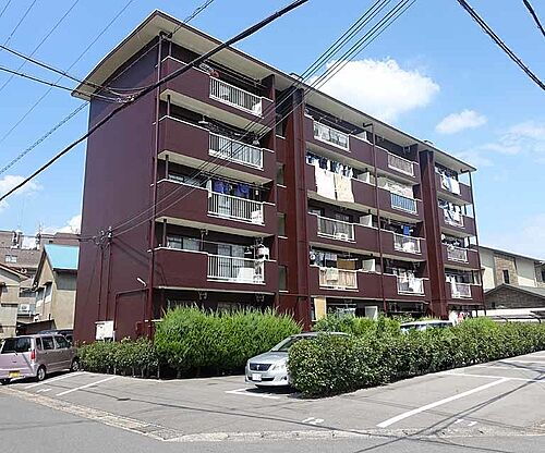 京都府京都市右京区梅津尻溝町 5階建 築60年9ヶ月