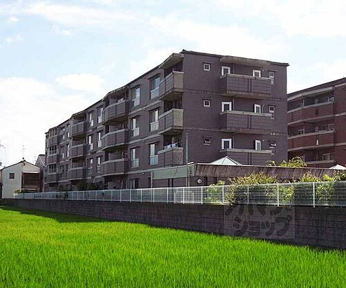 京都府京都市伏見区羽束師鴨川町 築30年9ヶ月 4階建