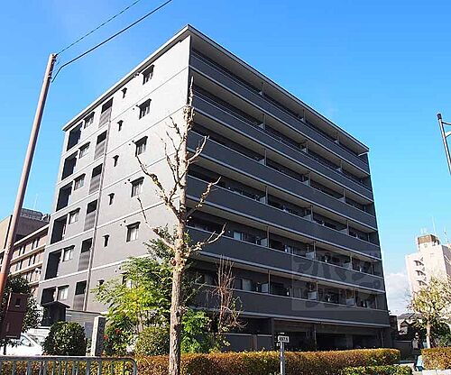 京都府京都市下京区堀川通五条下る柿本町 7階建 築10年5ヶ月