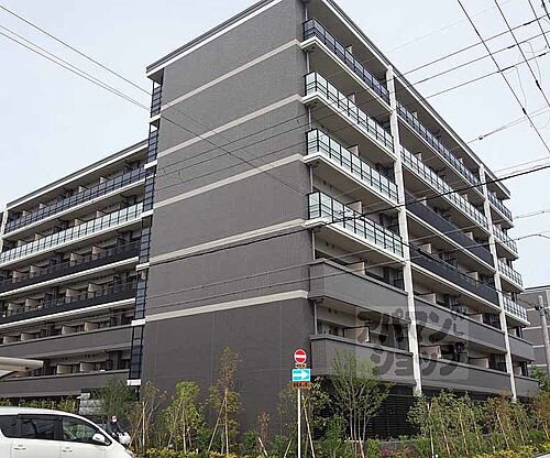京都府京都市南区東九条西河辺町 7階建 築4年5ヶ月