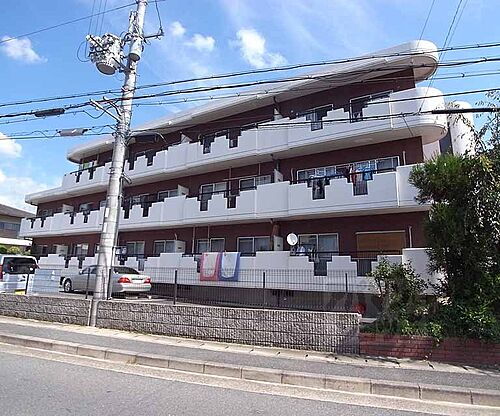 京都府京都市右京区嵯峨大覚寺門前井頭町 3階建