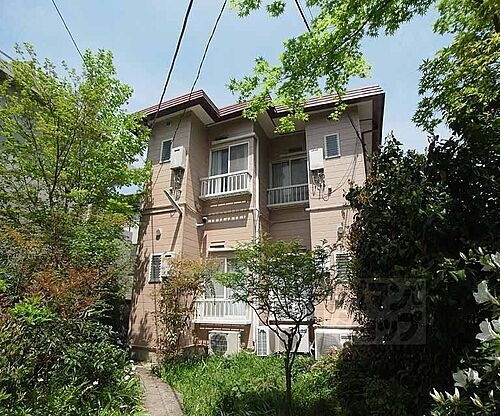 京都府京都市北区等持院東町 賃貸アパート