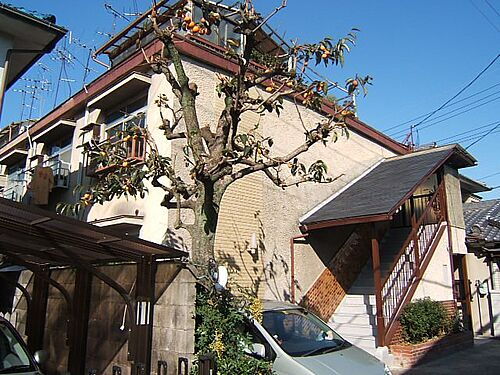 京都府宇治市木幡正中 2階建