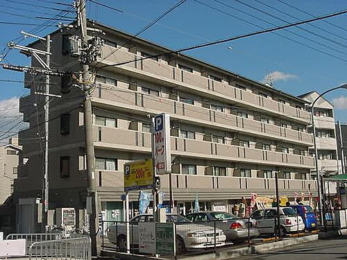 京都府京都市伏見区南新地 5階建 築25年3ヶ月