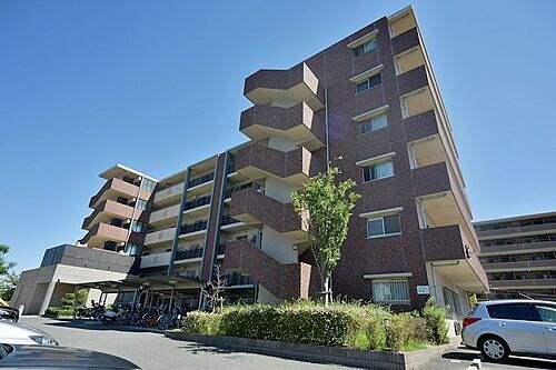 Ｍａｉｓｏｎ　Ｓ＆Ｔ