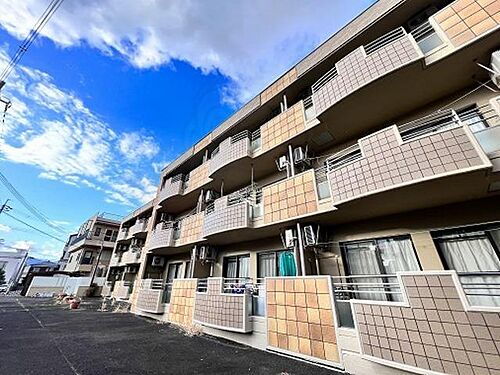 京都府京都市伏見区淀池上町 賃貸マンション