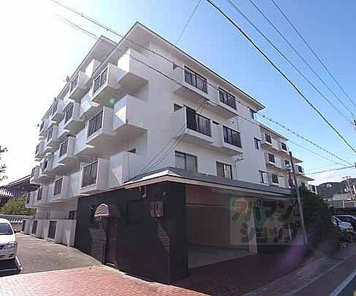 京都府京都市山科区竹鼻サイカシ町 築43年8ヶ月 5階建