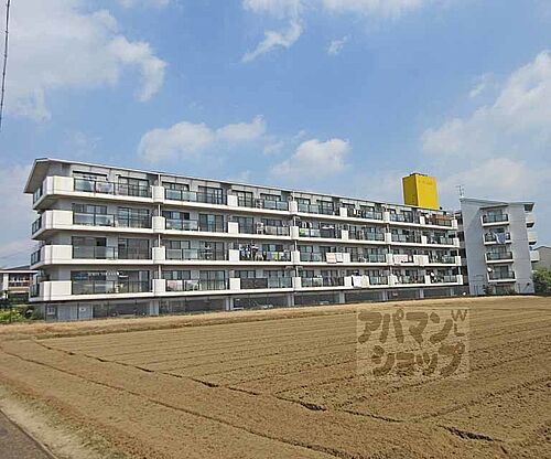 京都府久世郡久御山町島田ミスノ 賃貸マンション