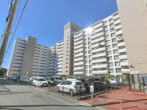 京都府京都市南区西九条南田町 11階建 築54年7ヶ月