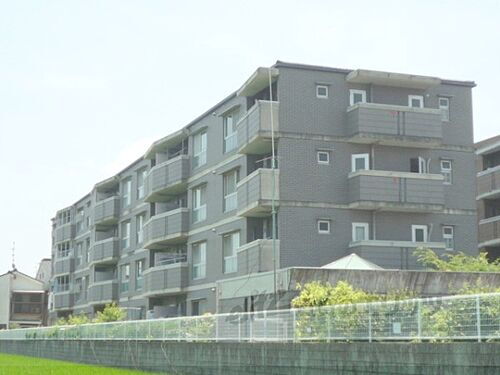 京都府京都市伏見区羽束師鴨川町 4階建 築29年5ヶ月