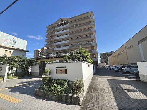 京都府京都市南区吉祥院中島町 8階建 築29年2ヶ月