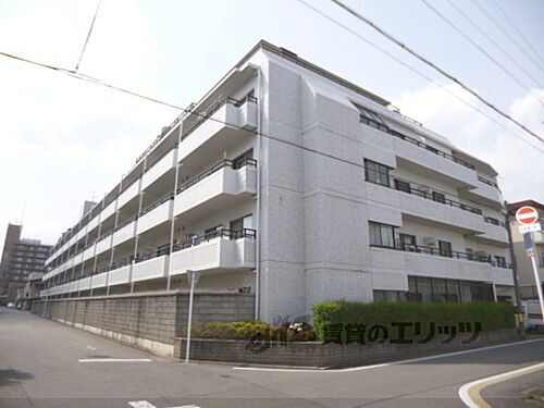 京都府京都市中京区西ノ京原町 5階建 築37年11ヶ月