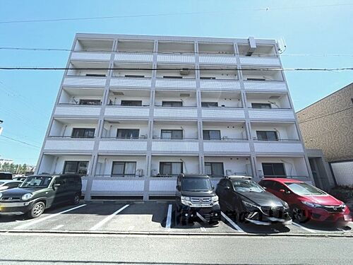 京都府京都市中京区西ノ京銅駝町 5階建 築36年4ヶ月