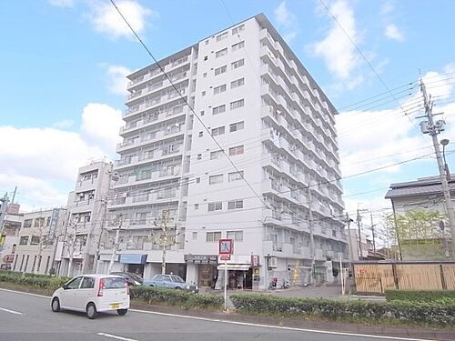京都府京都市中京区西ノ京南円町 11階建 築50年11ヶ月
