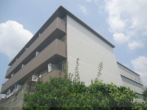 京都府京都市右京区太秦前ノ田町 4階建 築41年12ヶ月