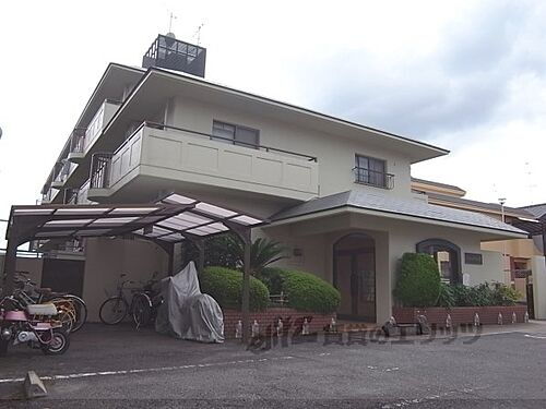 シャンポール蘭