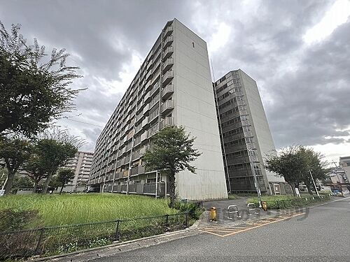 京都府京都市山科区西野様子見町 11階建 築53年9ヶ月