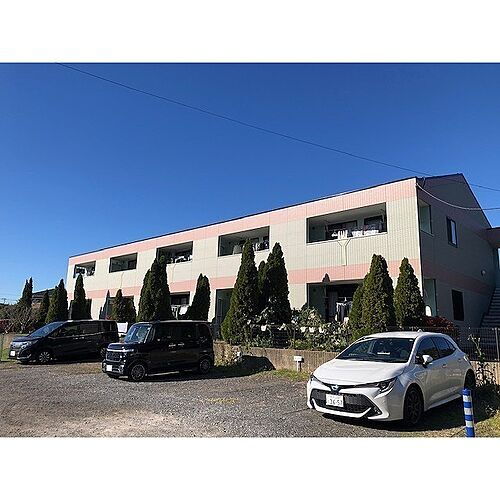 Ｆｌｏｒａ　ｉｗａｔａ