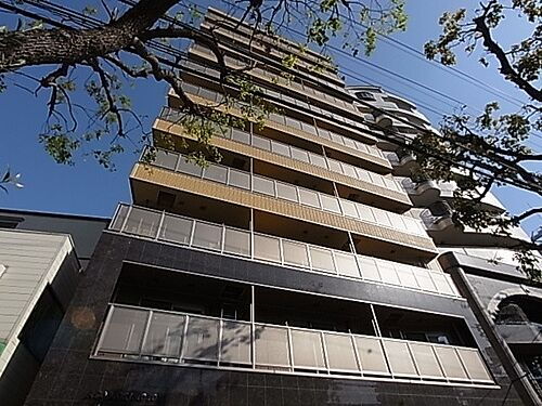 兵庫県神戸市中央区元町通５丁目 11階建 築14年9ヶ月