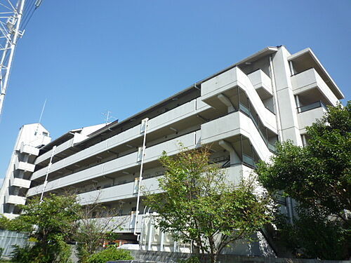 兵庫県尼崎市武庫川町１丁目 賃貸マンション