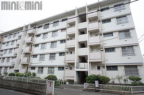 兵庫県尼崎市常光寺２丁目 築56年6ヶ月 5階建