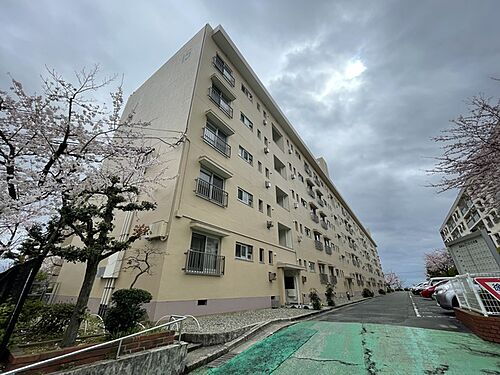 兵庫県神戸市東灘区渦森台２丁目 築53年11ヶ月 5階建