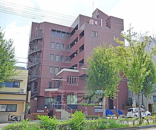 京都府京都市北区紫野下御輿町 7階建