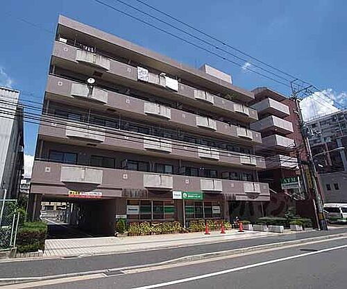 京都府京都市右京区西京極畔勝町 5階建 築29年4ヶ月