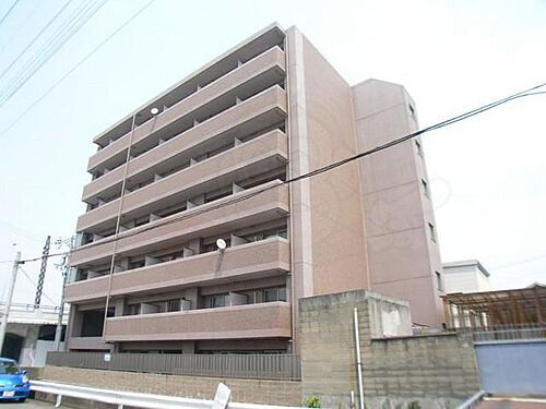 ティムール九条