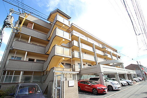広島県広島市東区牛田本町１丁目 5階建 築34年10ヶ月