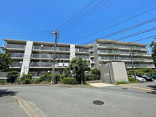 千葉県船橋市東船橋３丁目 4階建 築42年1ヶ月