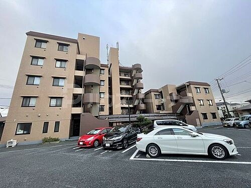 千葉県市川市東菅野２丁目 6階建 築28年6ヶ月