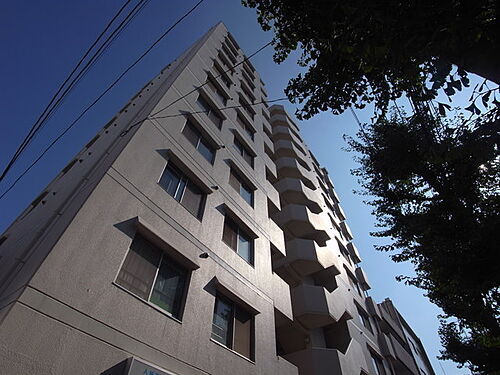 兵庫県神戸市中央区二宮町３丁目 11階建 築38年4ヶ月