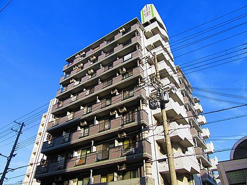 メイウール姫里