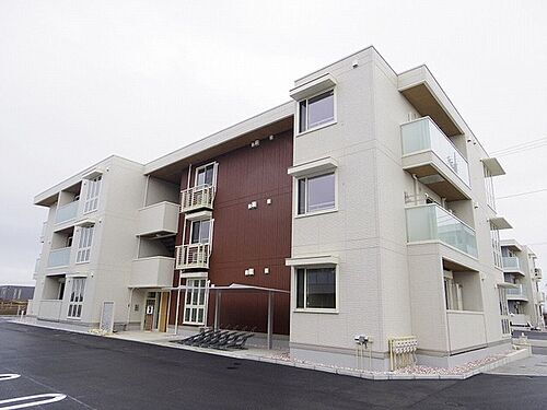 Ｄｓ　ＬＩＥＮ　Ｂ