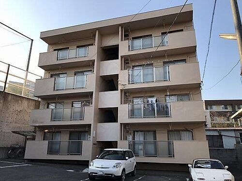 サイトウパピルス