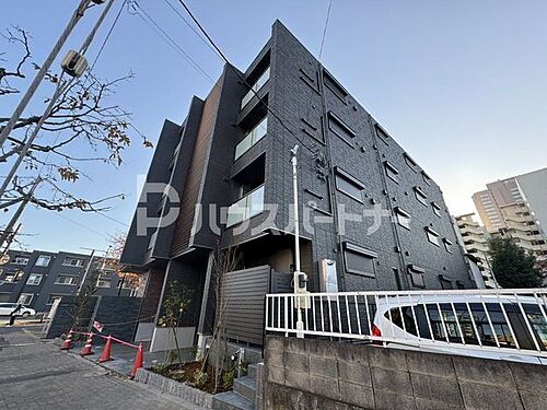 セルディーナ　アイ