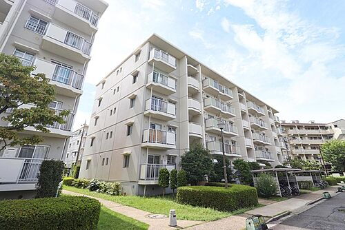 千葉県柏市大津ケ丘３丁目 賃貸マンション