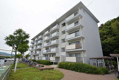 大阪府枚方市釈尊寺町 賃貸マンション