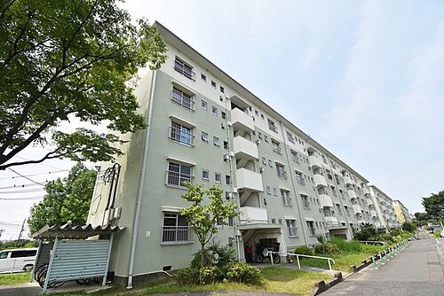 大阪府和泉市鶴山台２丁目 賃貸マンション