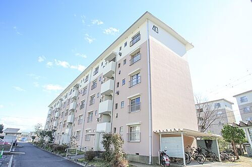 大阪府和泉市鶴山台２丁目 賃貸マンション