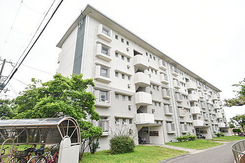 大阪府阪南市尾崎町７丁目 賃貸マンション