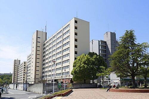 兵庫県神戸市北区南五葉１丁目 賃貸マンション